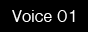 voice01