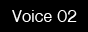 voice02