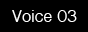 voice03