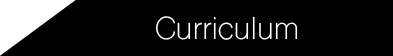 curriculum